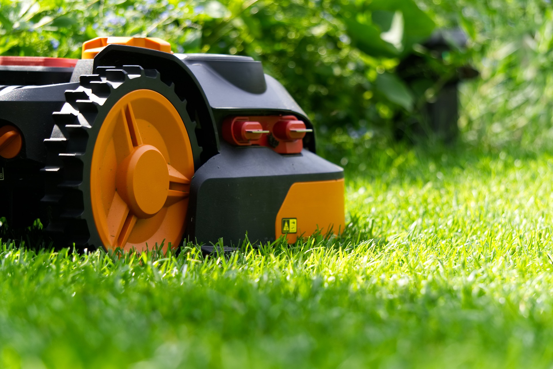 Najlepsze metody i narzędzia do pielęgnacji trawnika w ogrodzie