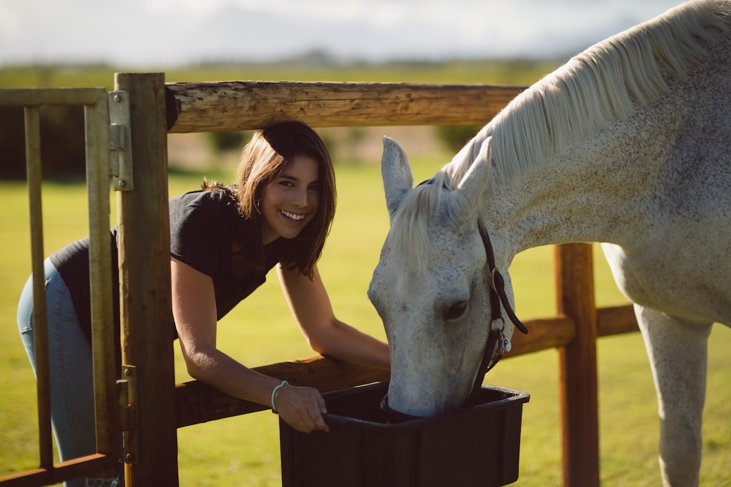 Jak naturalne składniki mogą wspierać zdrowie stawów Twojego konia?
