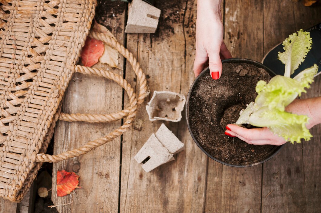 Czy domowe kompostowanie to dobry pomysł dla twoich roślin?