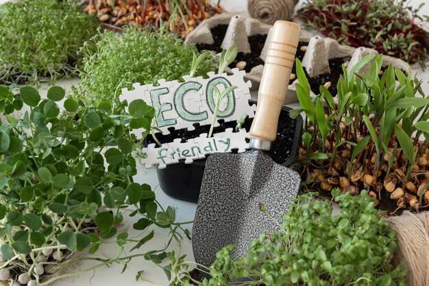 Jakie korzyści niesie ze sobą stosowanie naturalnych nawozów w ogrodzie?