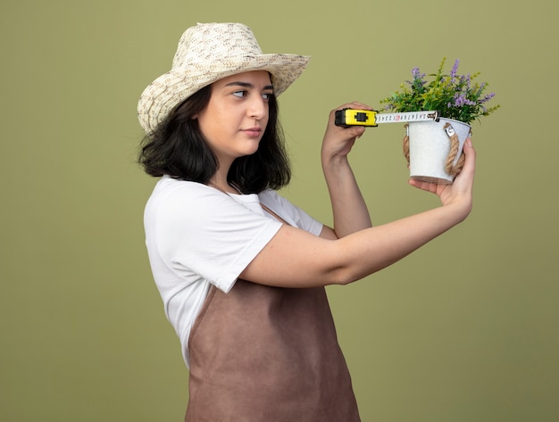 Jak stworzyć harmonijną przestrzeń dzięki roślinom w doniczkach